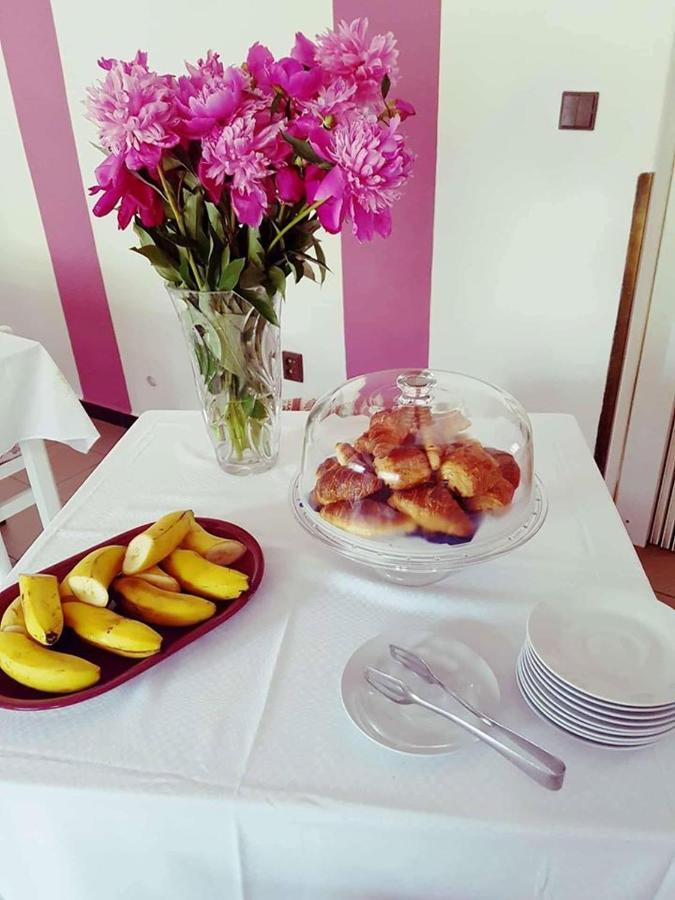 Hotel Penzion Holland Litomyšl Zewnętrze zdjęcie